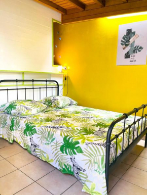 Studio charmant à Basse Terre, vue sur jardin, 15 m²